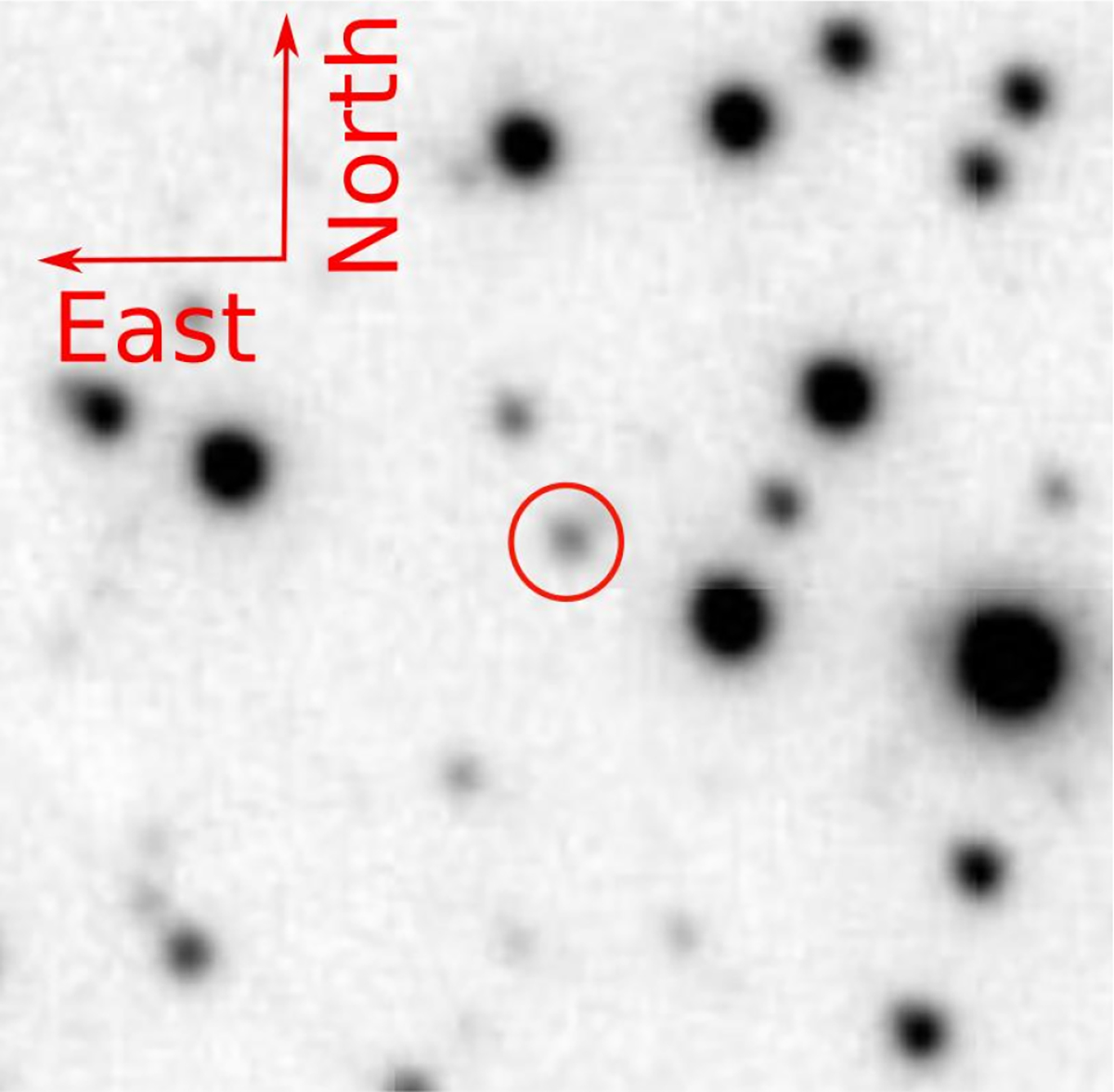 Fig. 3. Refer to the following caption and surrounding text.