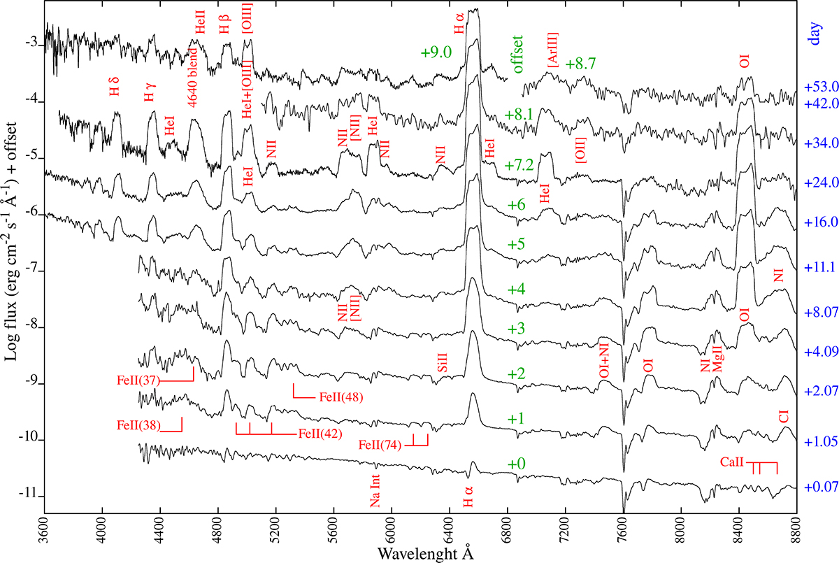 Fig. 4. Refer to the following caption and surrounding text.