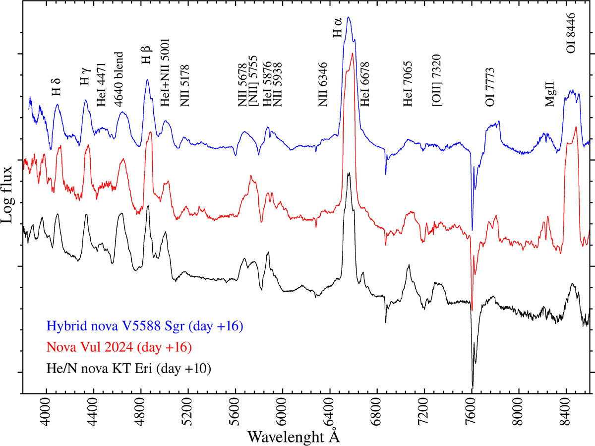 Fig. 6. Refer to the following caption and surrounding text.