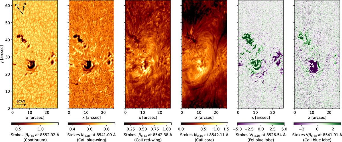 Fig. 3. Refer to the following caption and surrounding text.