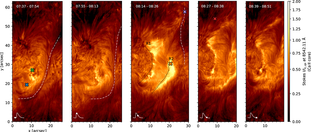 Fig. 4. Refer to the following caption and surrounding text.