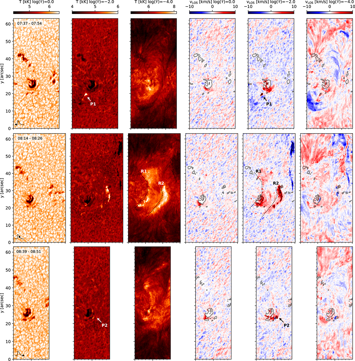 Fig. 6. Refer to the following caption and surrounding text.