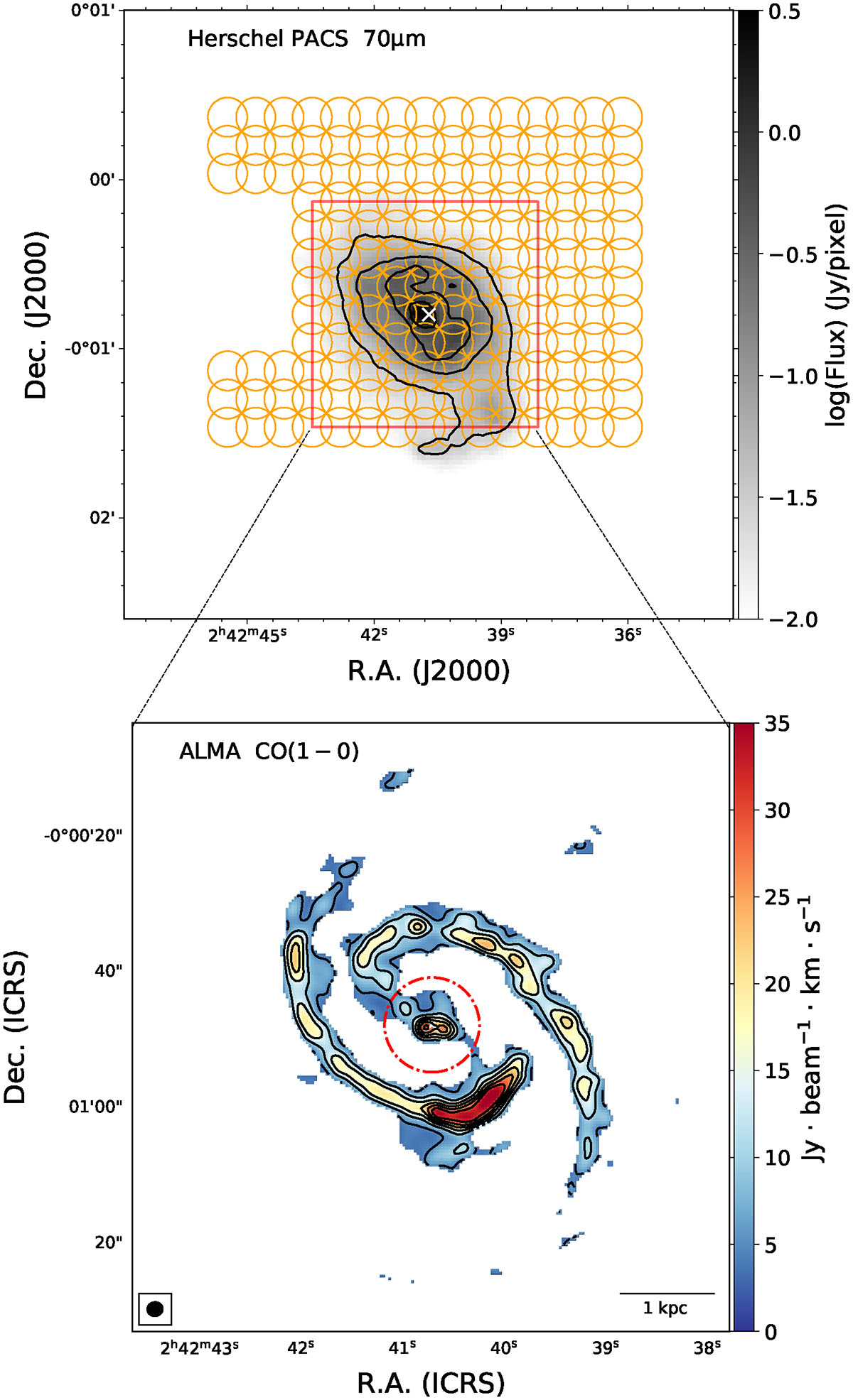 Fig. 1. Refer to the following caption and surrounding text.