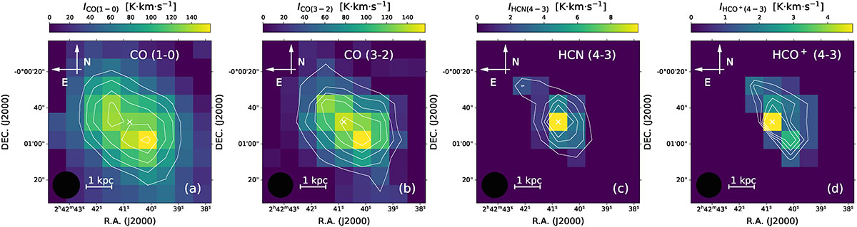 Fig. 2. Refer to the following caption and surrounding text.