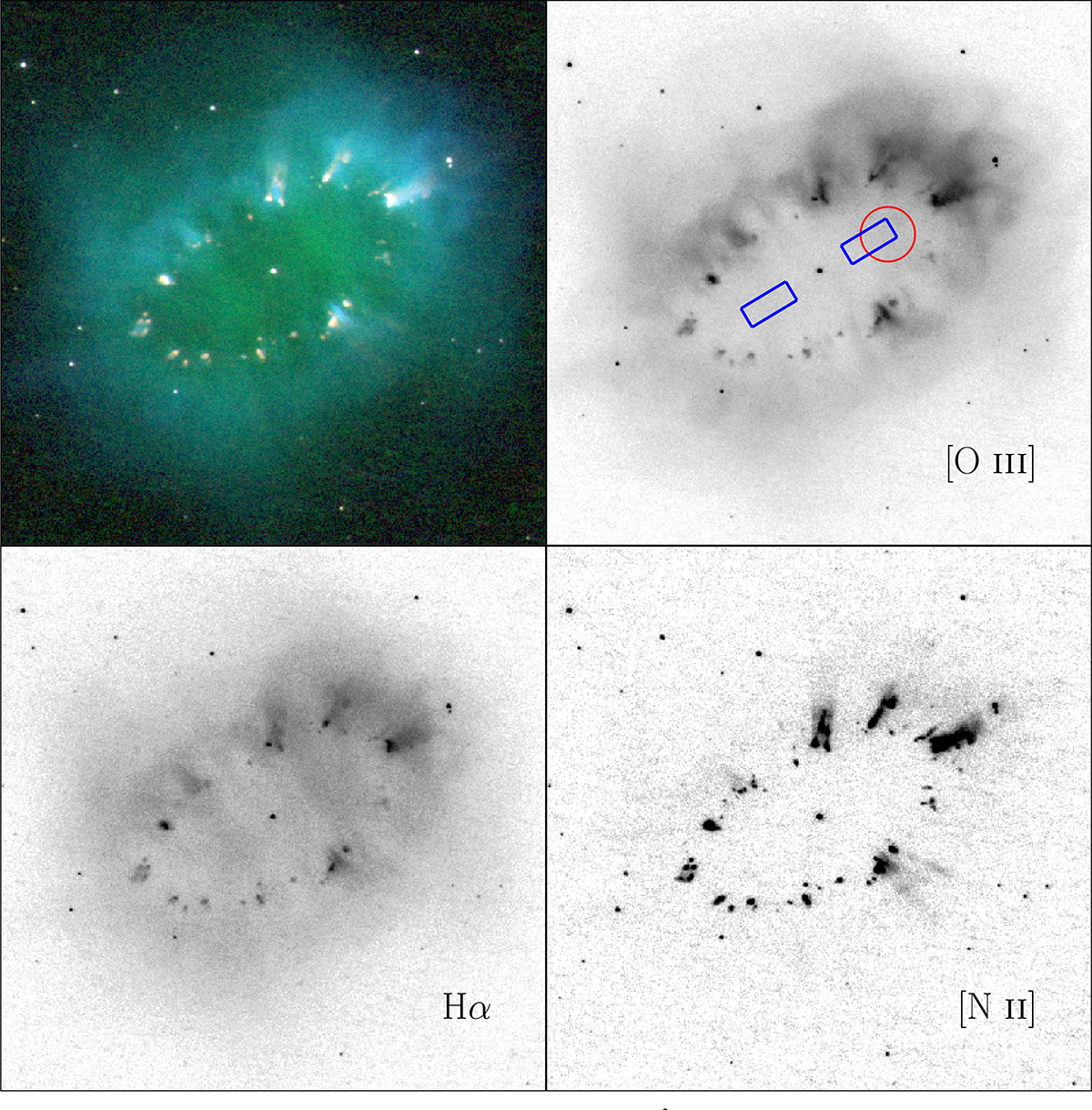 Fig. 1. Refer to the following caption and surrounding text.