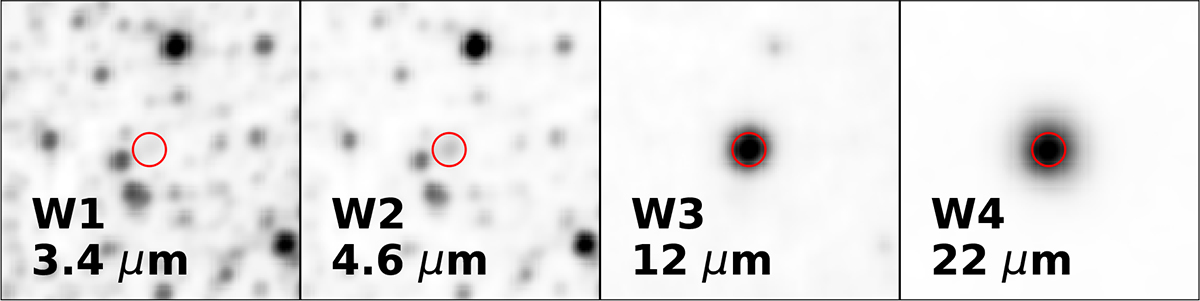 Fig. 5. Refer to the following caption and surrounding text.