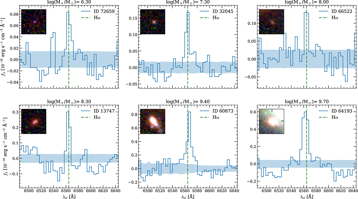 Fig. 1. Refer to the following caption and surrounding text.