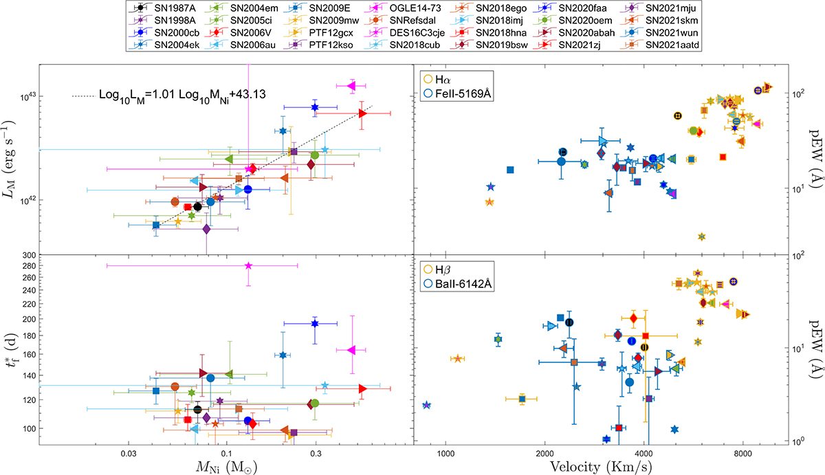Fig. 3. Refer to the following caption and surrounding text.