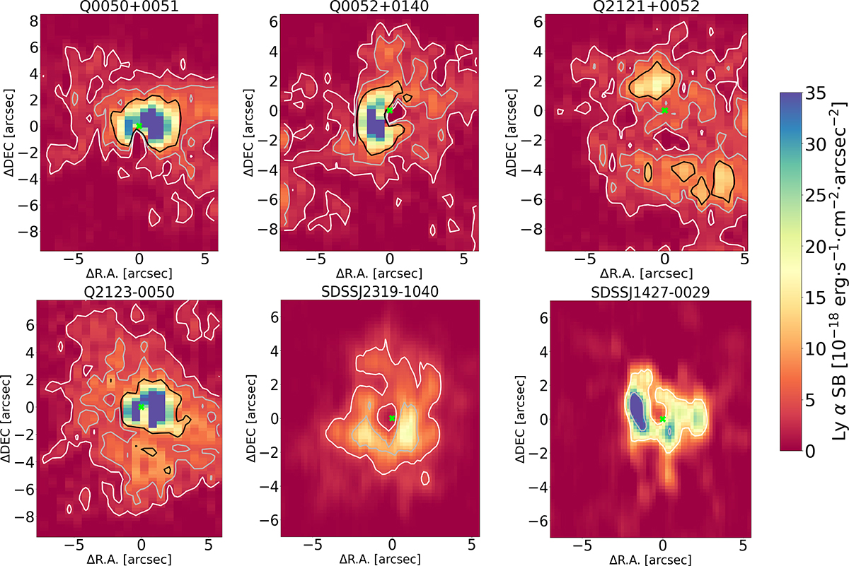 Fig. 3. Refer to the following caption and surrounding text.