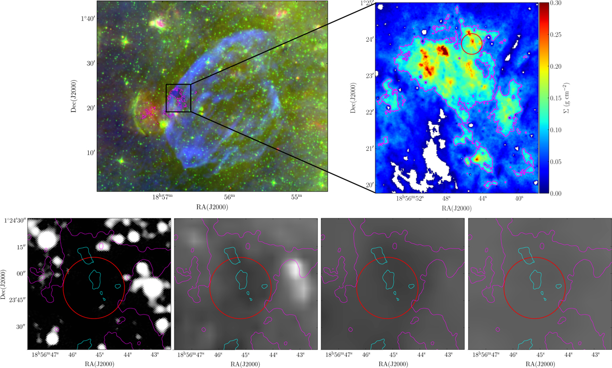 Fig. 1 Refer to the following caption and surrounding text.