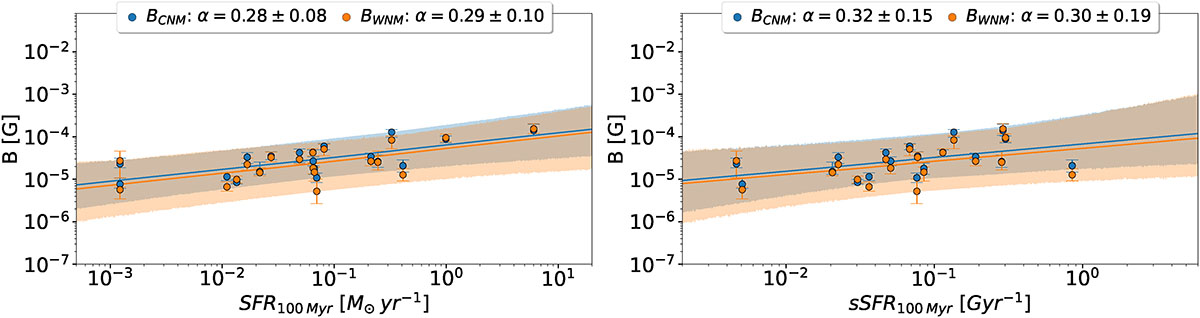 Fig. 5. Refer to the following caption and surrounding text.