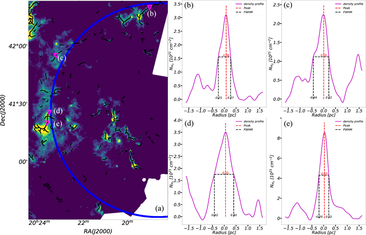 Fig. 11 Refer to the following caption and surrounding text.