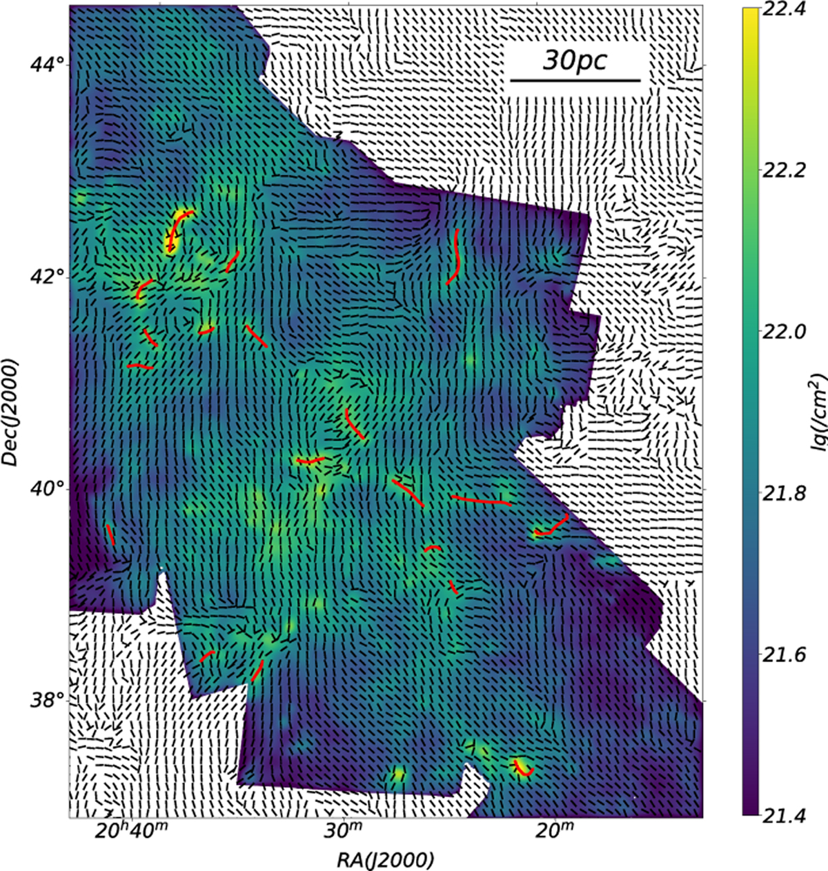 Fig. 4 Refer to the following caption and surrounding text.