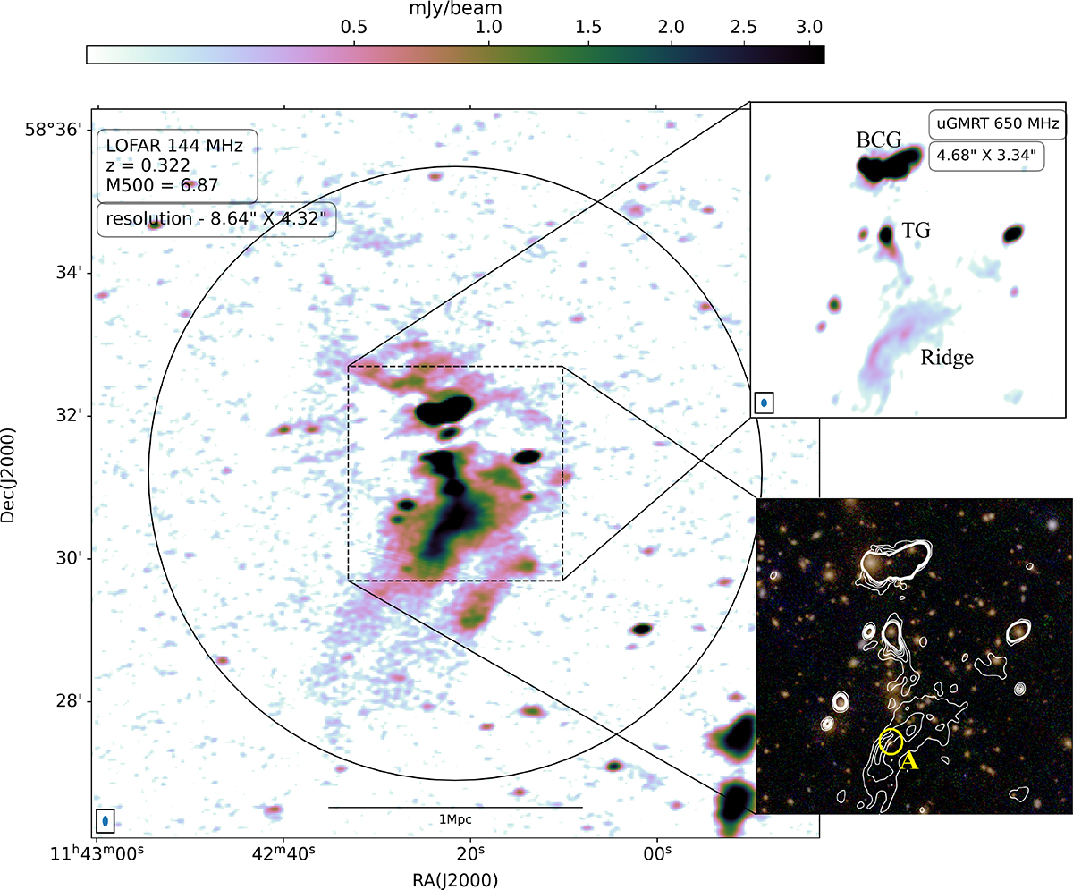 Fig. 2. Refer to the following caption and surrounding text.