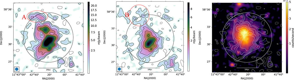 Fig. 4. Refer to the following caption and surrounding text.