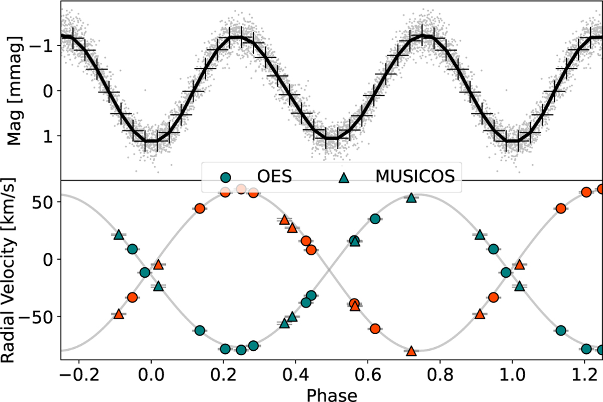 Fig. 2 Refer to the following caption and surrounding text.
