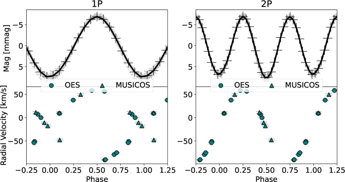 Fig. 4 Refer to the following caption and surrounding text.