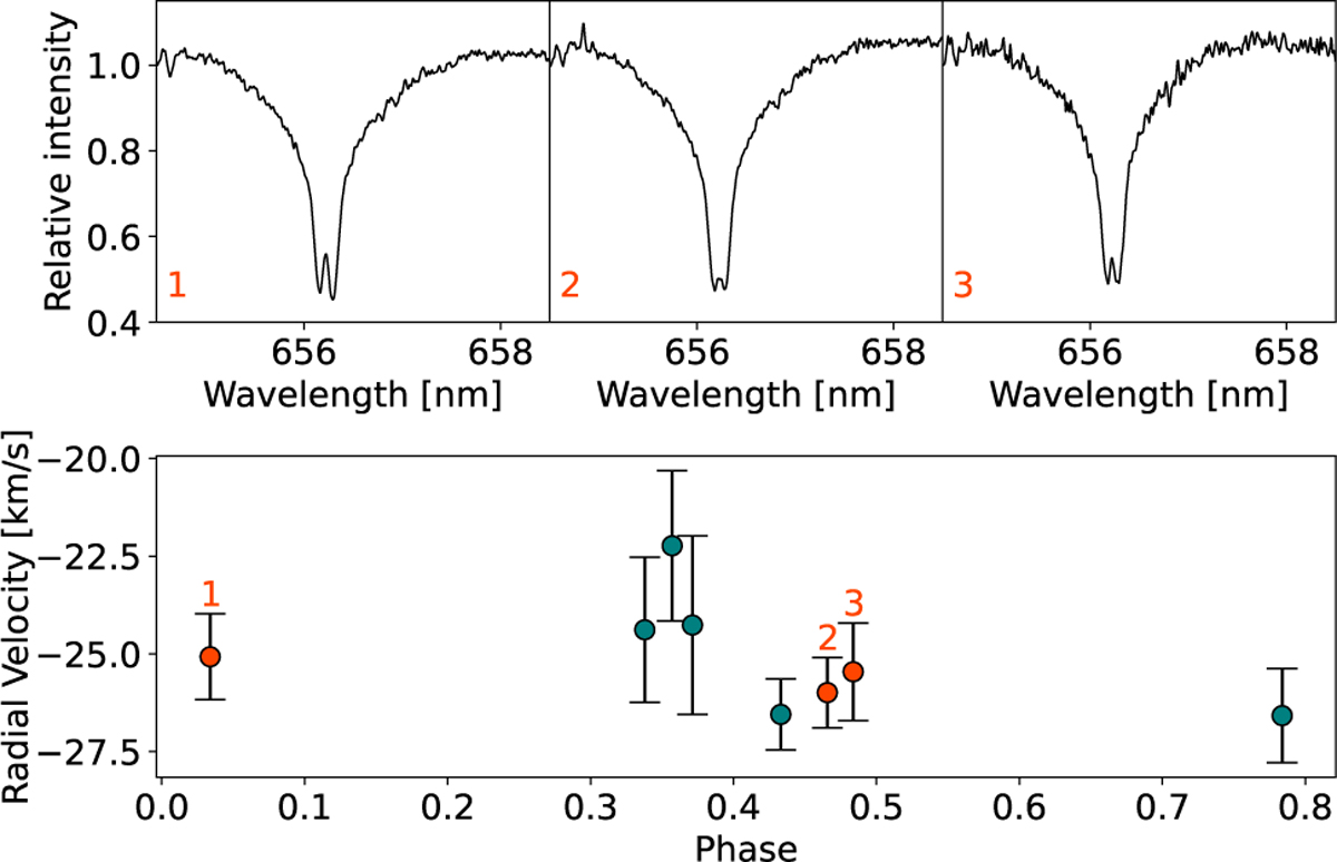Fig. 5 Refer to the following caption and surrounding text.