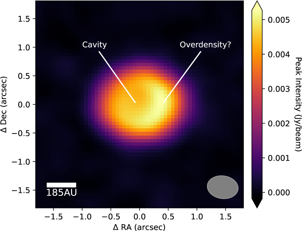 Fig. 2 Refer to the following caption and surrounding text.