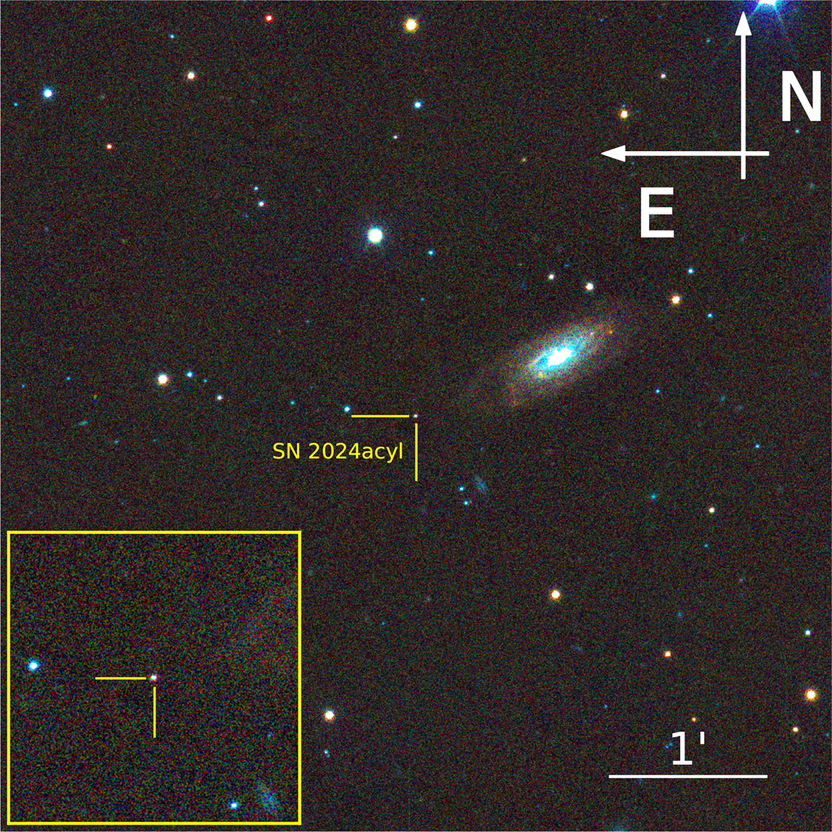 Fig. 1. Refer to the following caption and surrounding text.