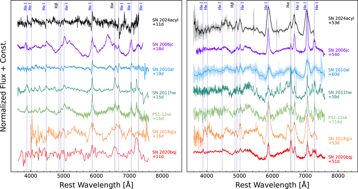 Fig. 10. Refer to the following caption and surrounding text.