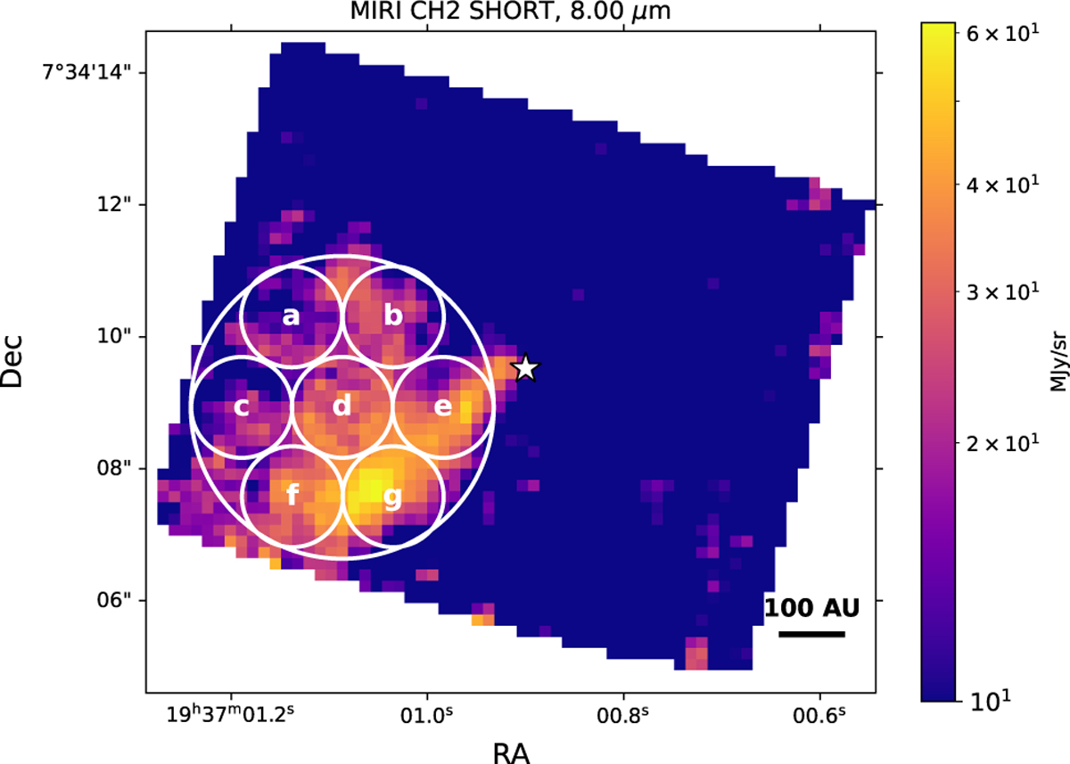 Fig. 2 Refer to the following caption and surrounding text.