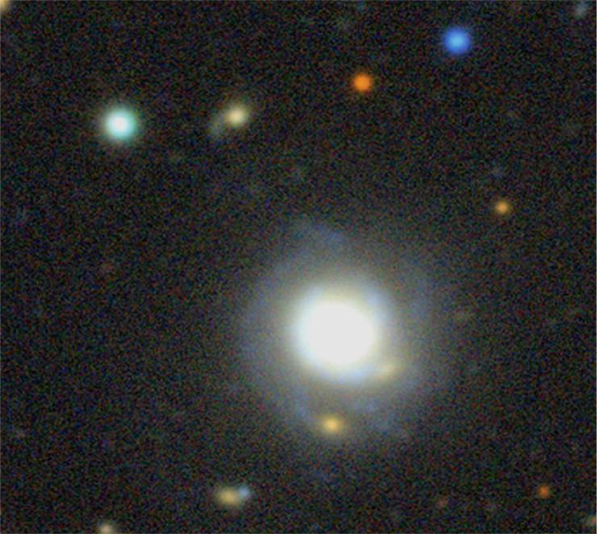 Fig. 2. Refer to the following caption and surrounding text.