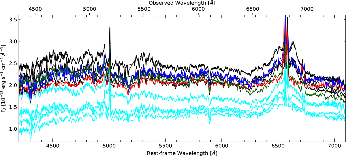 Fig. 5. Refer to the following caption and surrounding text.