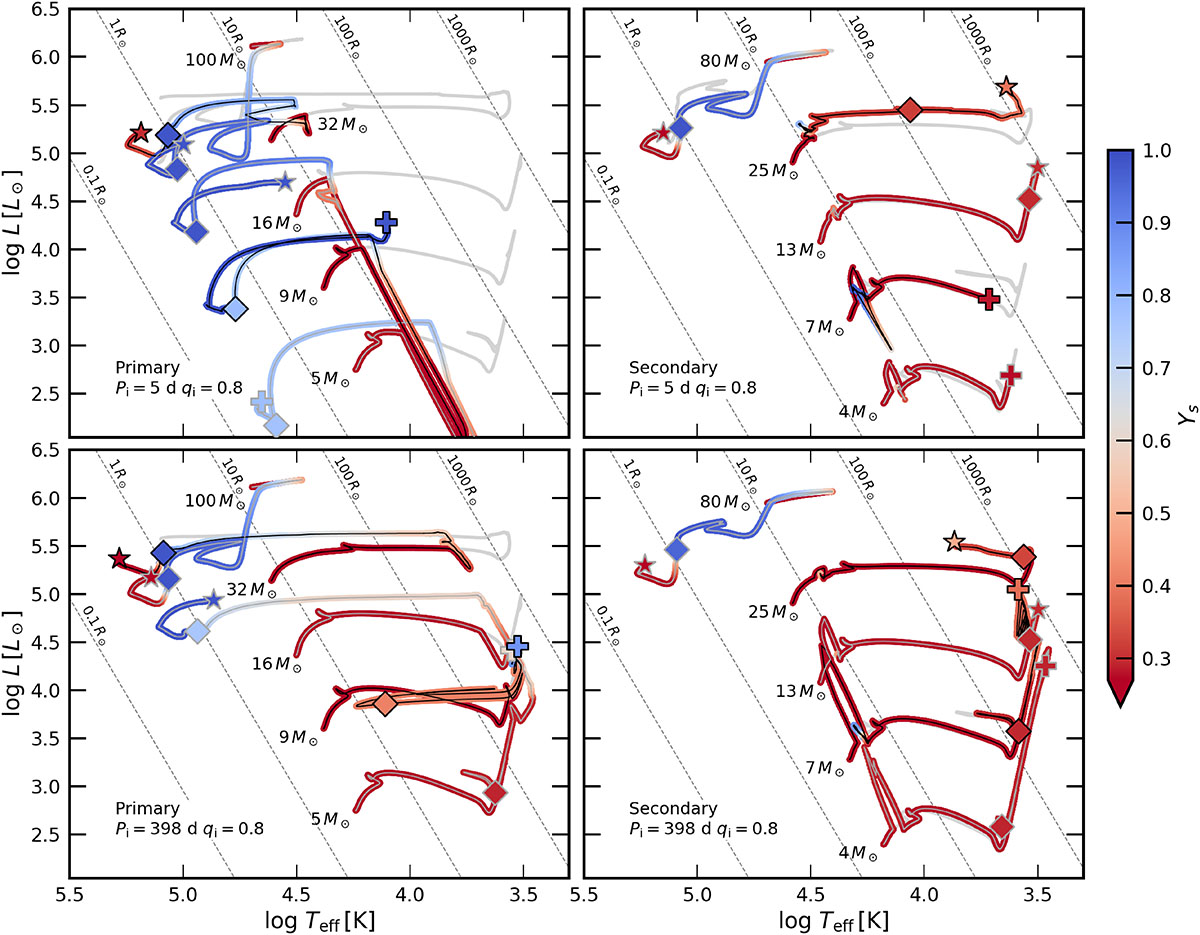 Fig. 2. Refer to the following caption and surrounding text.