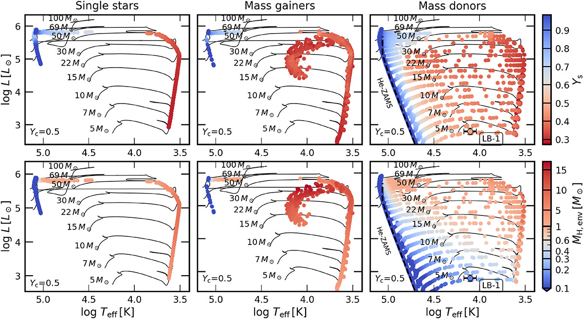 Fig. 4. Refer to the following caption and surrounding text.