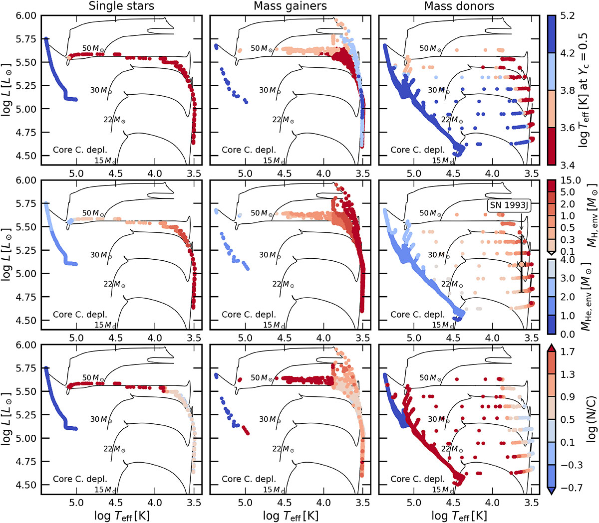 Fig. 6. Refer to the following caption and surrounding text.