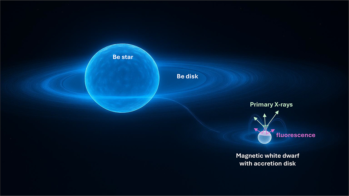 Fig. 6. Refer to the following caption and surrounding text.
