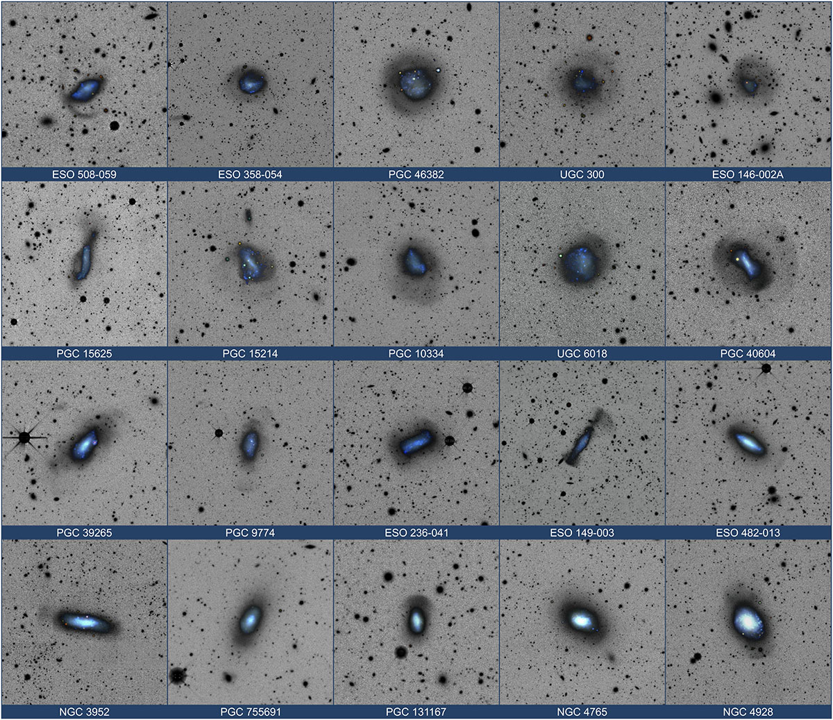 Fig. 2. Refer to the following caption and surrounding text.