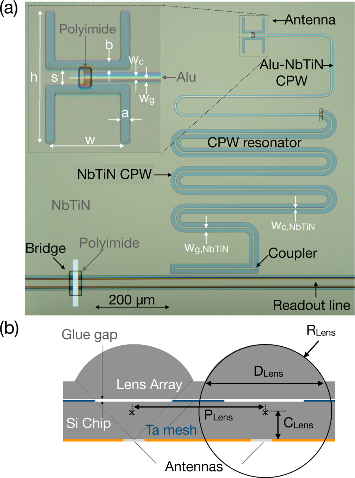 Fig. 2 Refer to the following caption and surrounding text.