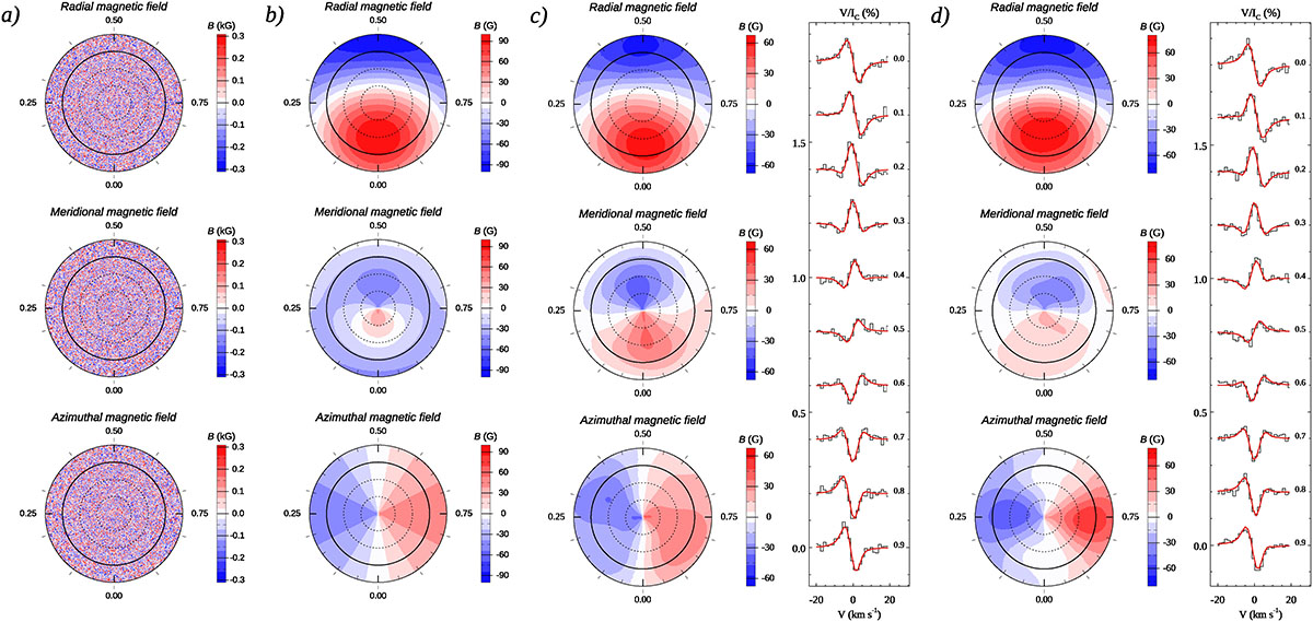 Fig. 6. Refer to the following caption and surrounding text.