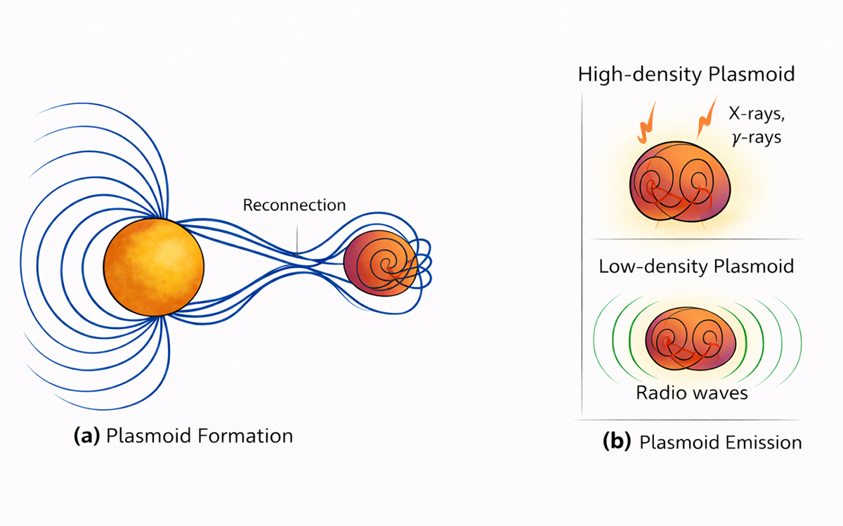 Fig. 8. Refer to the following caption and surrounding text.