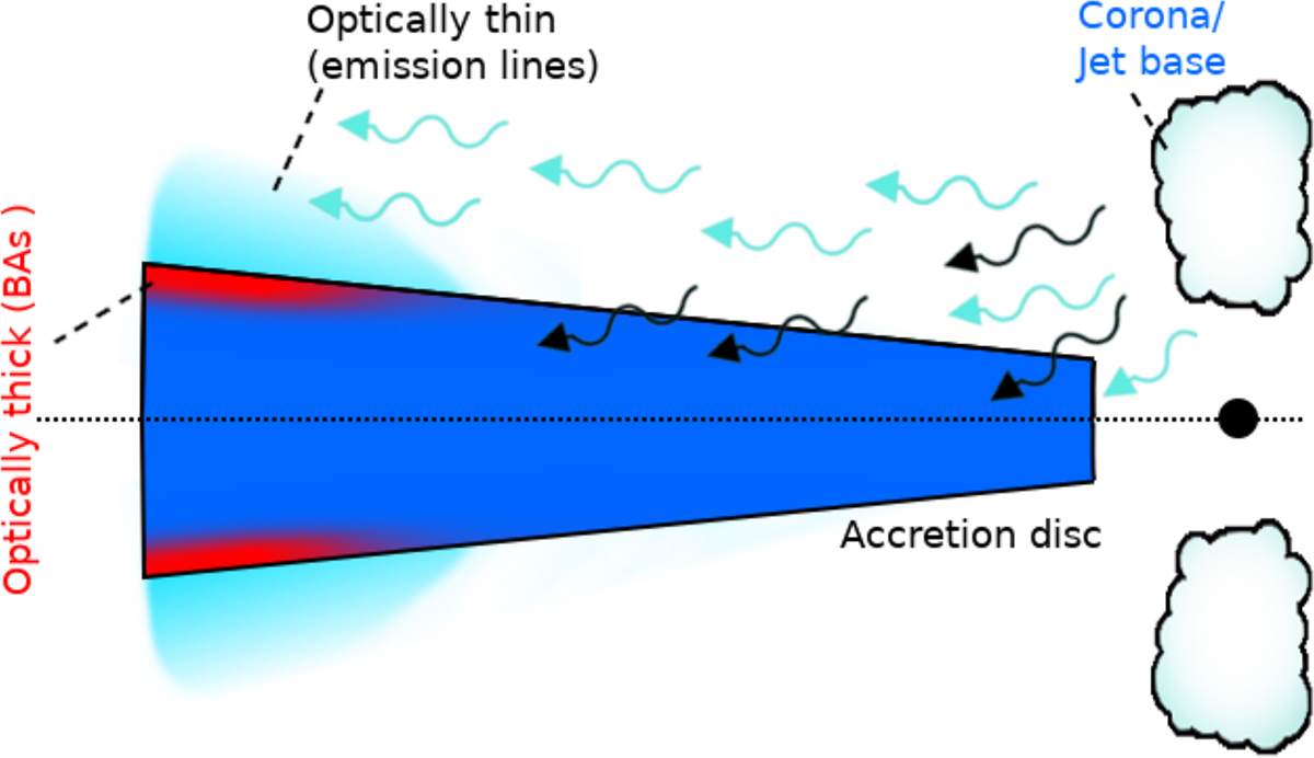Fig. 7. Refer to the following caption and surrounding text.