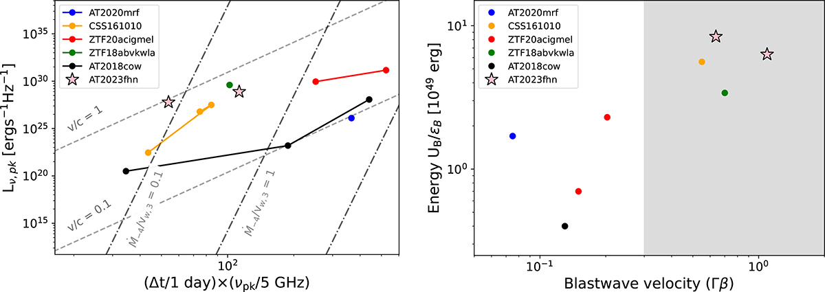 Fig. 3. Refer to the following caption and surrounding text.