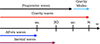 Thumbnail: Fig. 1. Refer to the following caption and surrounding text.