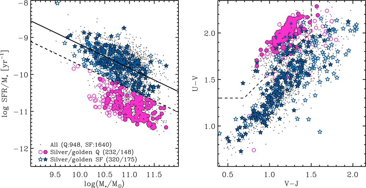 Fig. 2. Refer to the following caption and surrounding text.