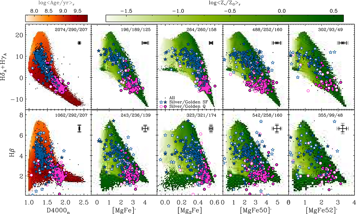 Fig. 3. Refer to the following caption and surrounding text.