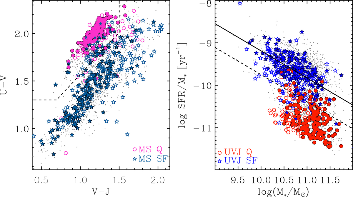 Fig. 1. Refer to the following caption and surrounding text.