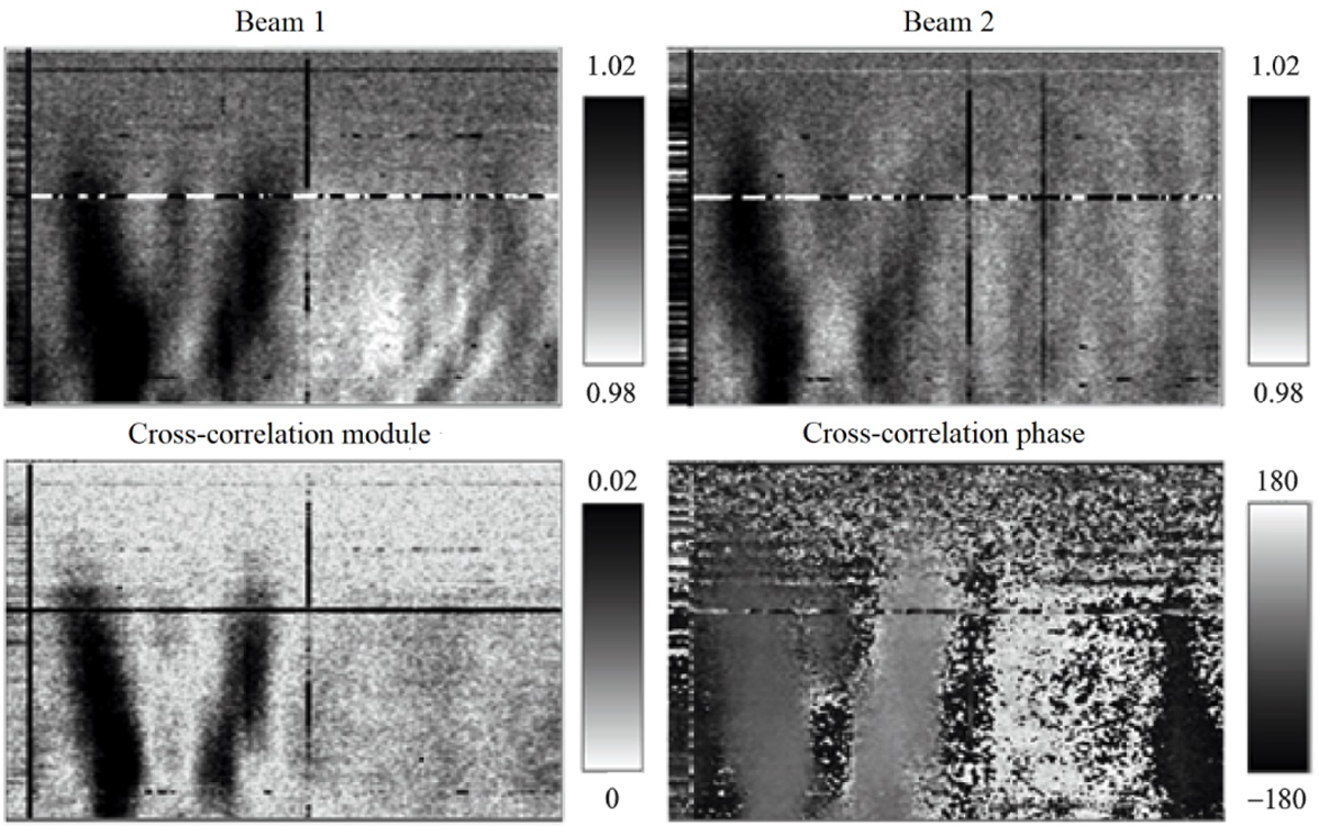 Fig. 8 Refer to the following caption and surrounding text.