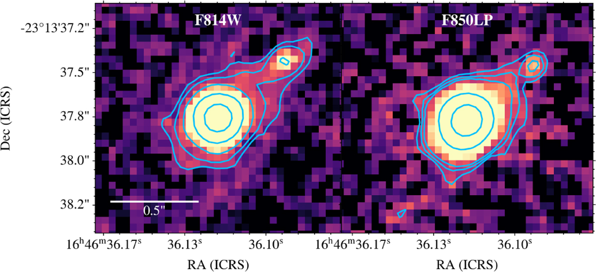 Fig. 6 Refer to the following caption and surrounding text.