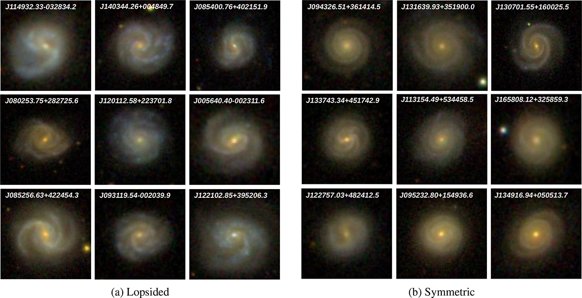 Fig. 2. Refer to the following caption and surrounding text.