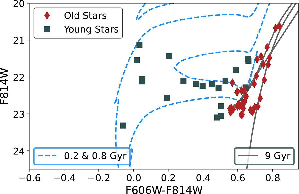 Fig. 3. Refer to the following caption and surrounding text.