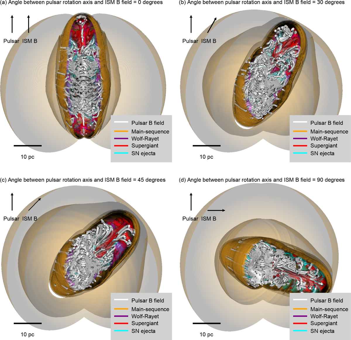 Fig. 3 Refer to the following caption and surrounding text.