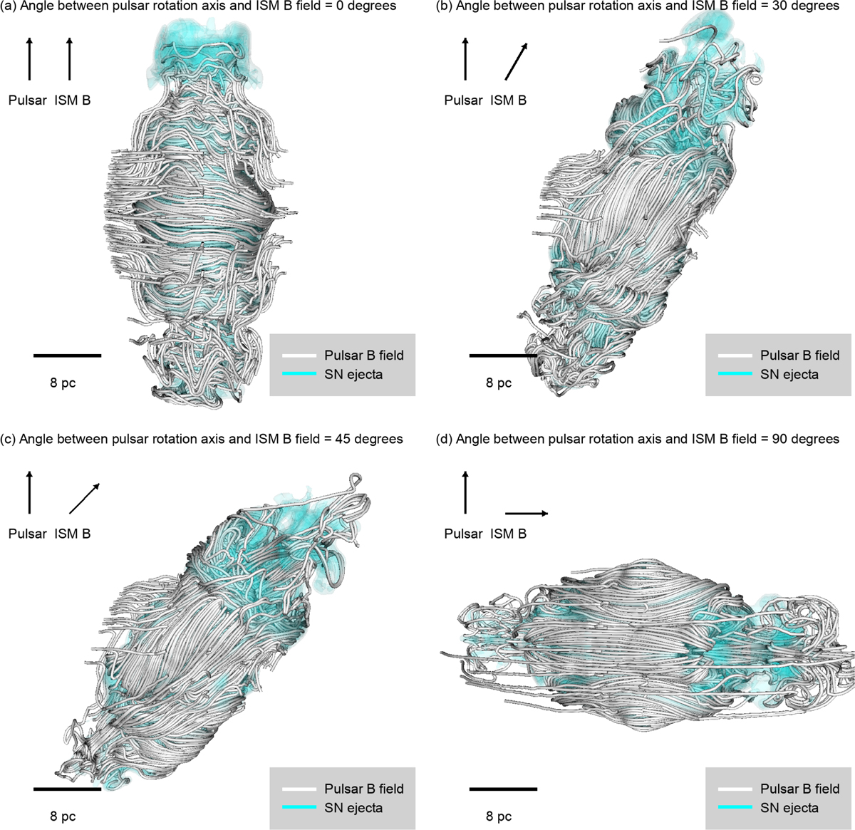 Fig. 5 Refer to the following caption and surrounding text.