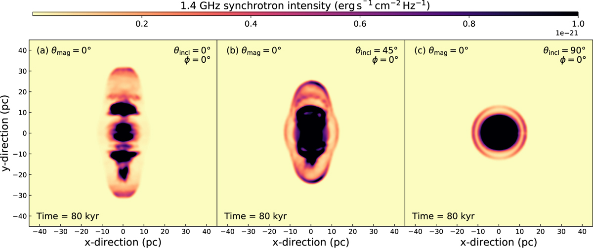 Fig. 6 Refer to the following caption and surrounding text.