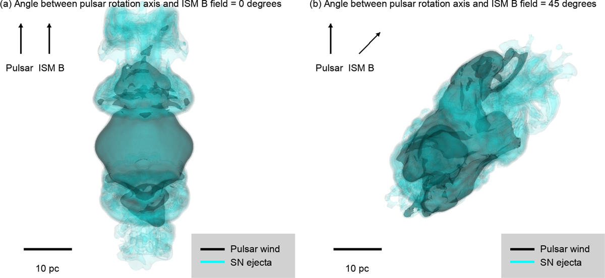 Fig. 7 Refer to the following caption and surrounding text.